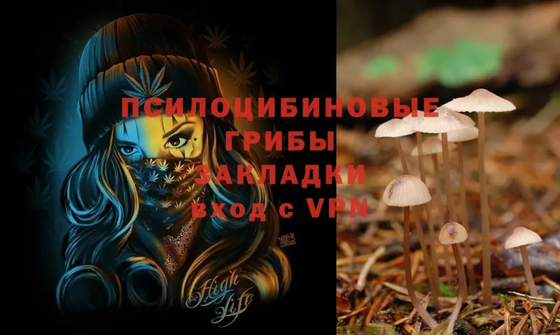 Псилоцибиновые грибы Magic Shrooms  Карпинск 